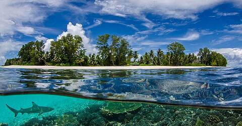 Entdeckungsreise Seychellen Ein Paradies fur jeden Geschmack